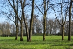 flora-1_tempio-di-primavera_giulia-ranzini_verso-il-tempietto