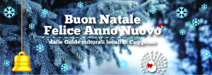 natale pavone-02