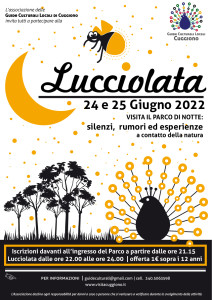 lucciolata-2022-01